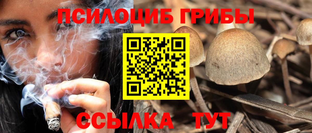 Галлюциногенные грибы мухоморы  Шали 