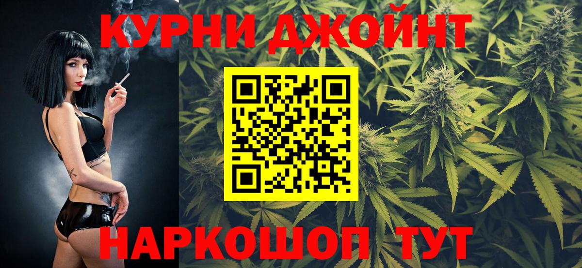 Канабис планчик Шали